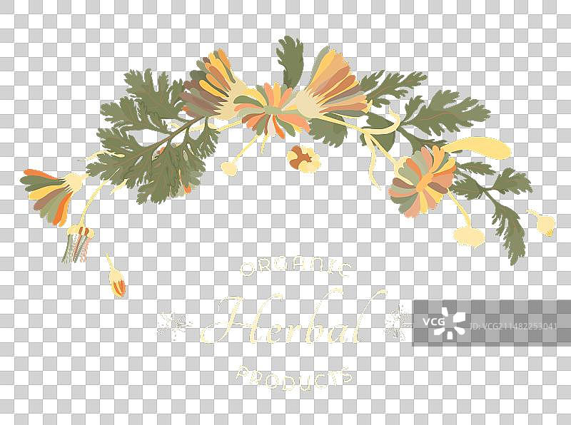 花卉或草药产品图片素材