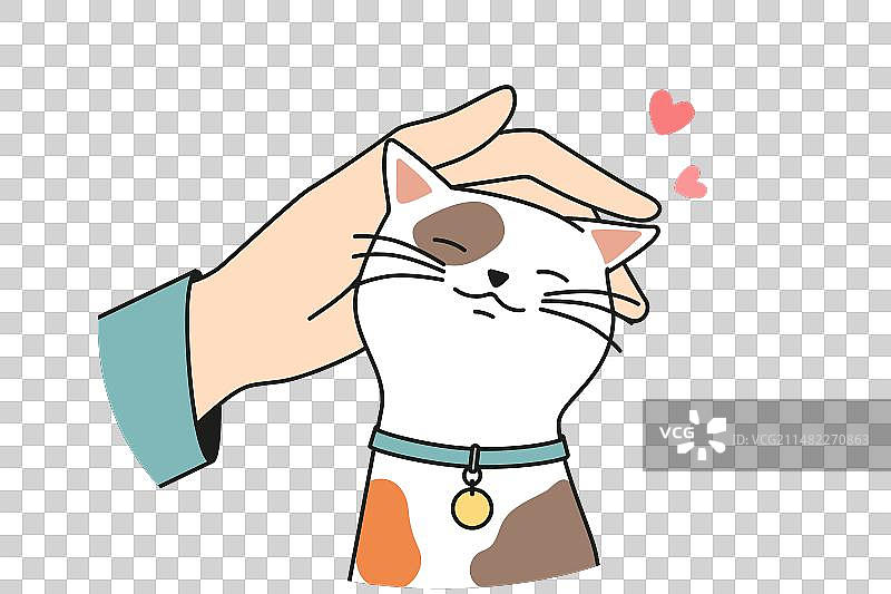 手部爱抚可爱的猫图片素材