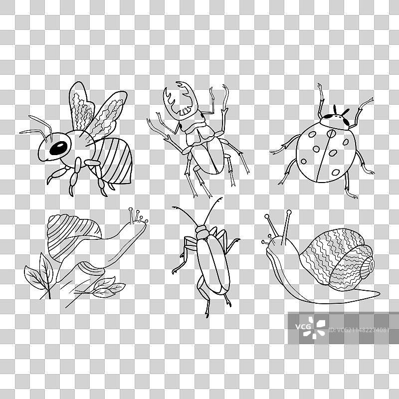 卡通着色页昆虫合集图片素材