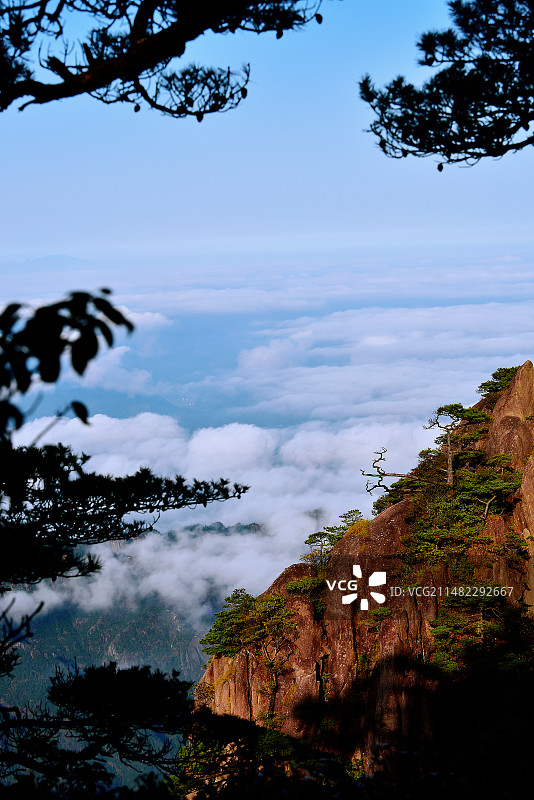 黄山·云蒸霞蔚图片素材