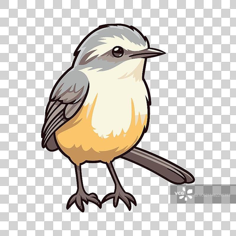 嘲鸫可爱有趣的卡通素材图片素材