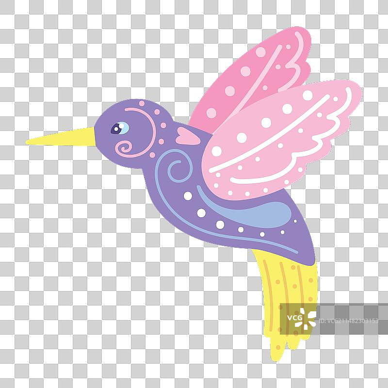 墨西哥阿莱布里赫蜂鸟图片素材