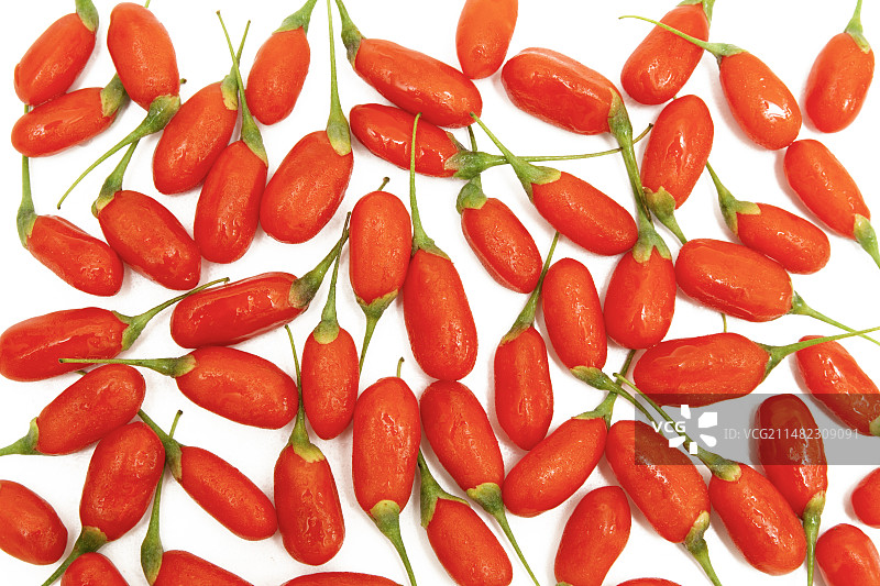 枸杞 枸杞鲜果 鲜枸杞 新鲜 宁夏枸杞 新鲜枸杞 红枸杞 枸杞子 鲜果 药用水果 枸杞果 食疗图片素材