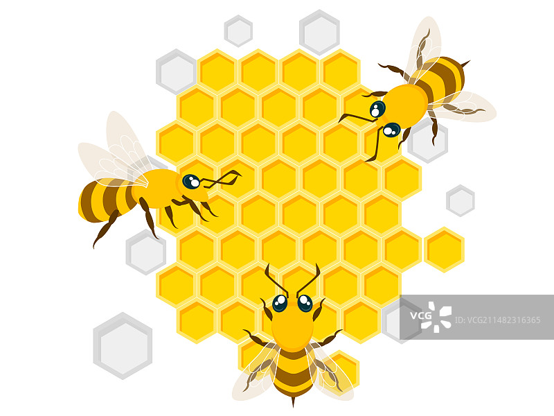 三只蜂蜜正在蜂蜜上采集矢量扁平插画图片素材