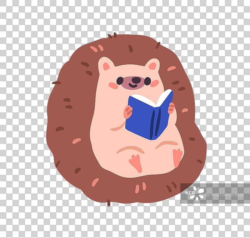 可爱的刺猬阅读书籍图片素材