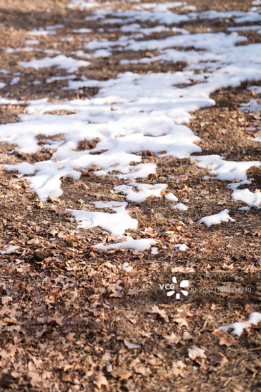冬天枯叶草地上残留的积雪图片素材