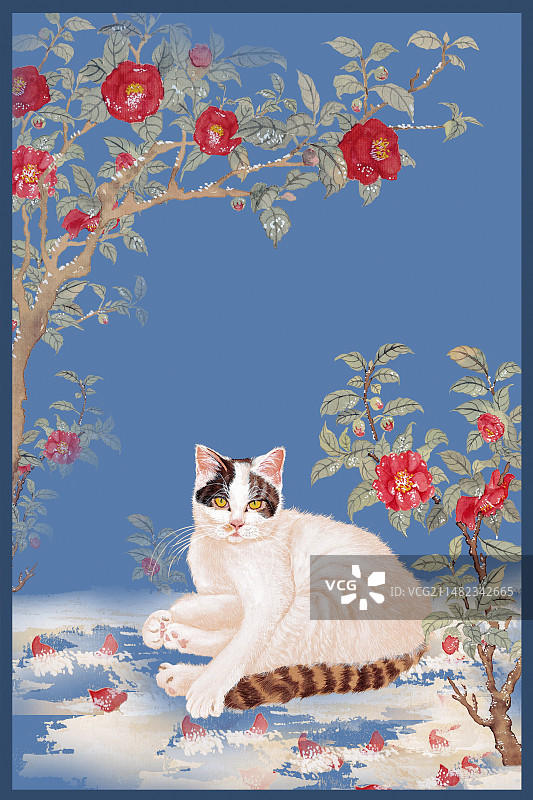 立春猫系列茶花图片素材