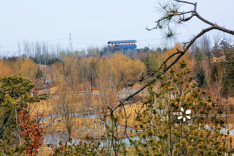 雄安新区悦容公园（中苑）图片素材