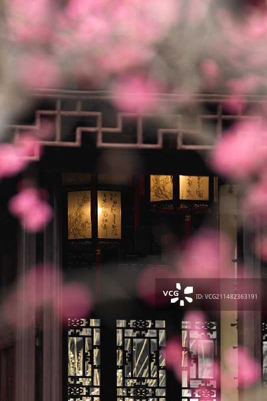 可园梅花图片素材