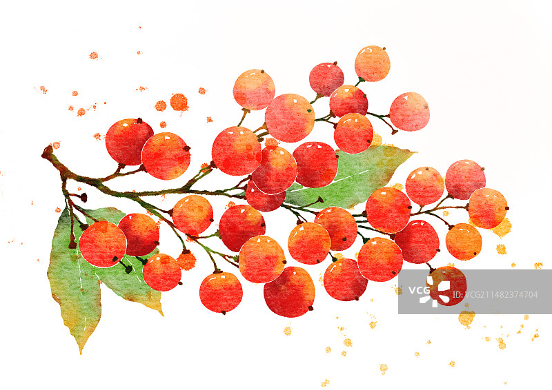 唯美扁平化背景唯美风景插画 一枝红果图片素材