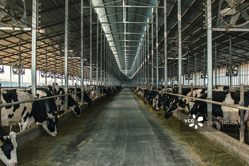 养殖场图片素材