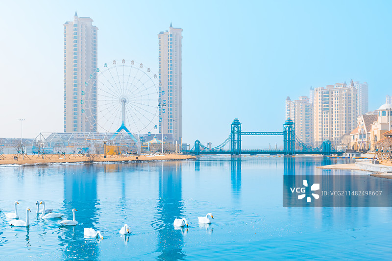 山东威海荣成那香海风景区的摩天轮和大天鹅图片素材