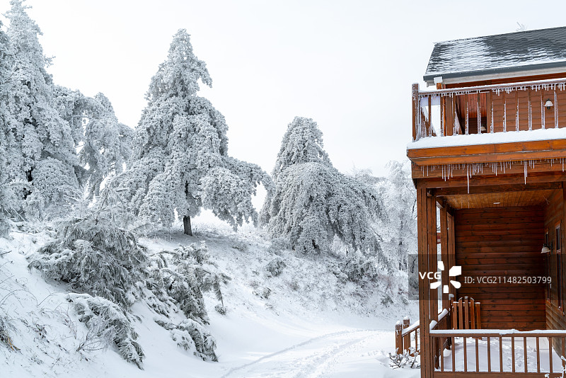 冬季白雪覆盖的树林和木屋图片素材