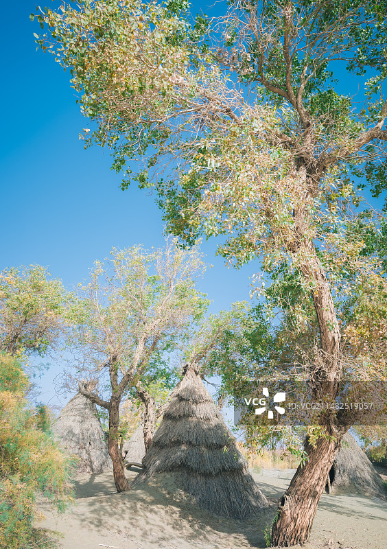 新疆罗布人村寨图片素材