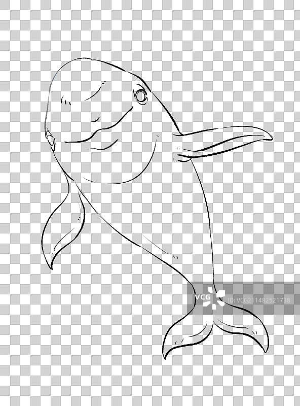 江豚保护珍惜动物线稿手绘风格插画元素图片素材