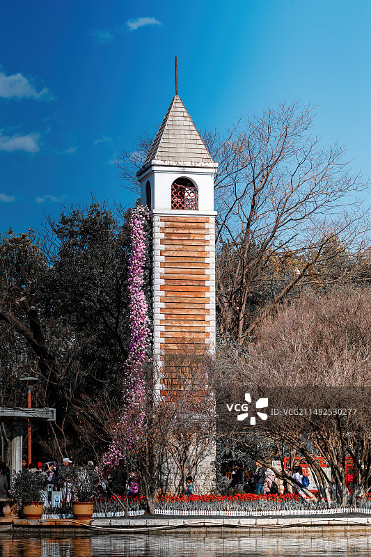 昆明翠湖公园鲜花瀑布图片素材