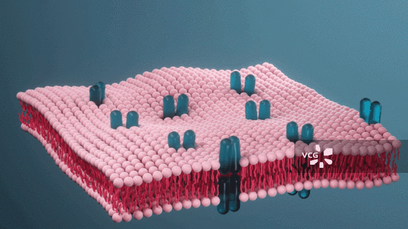 入侵细胞的病毒图片素材