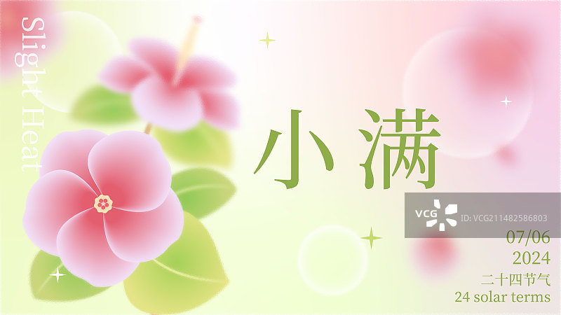 毛玻璃弥散风朱槿小满节气海报图片素材