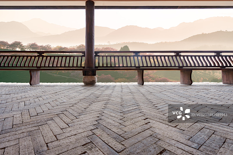 砖形地板与中式护栏外的樱花园风光图片素材