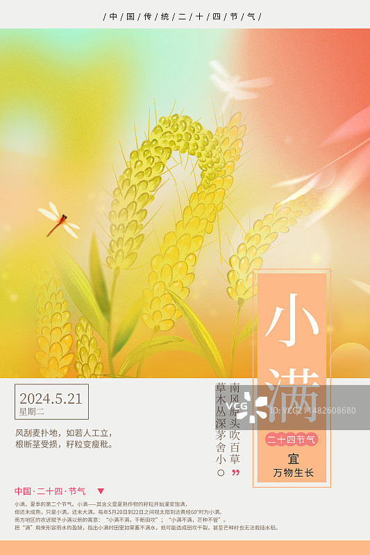 传统封面设计二十四节气系列插画海报模版-夏天 风吹麦穗 植物小清新插画 运动模糊背景 竖版图片素材