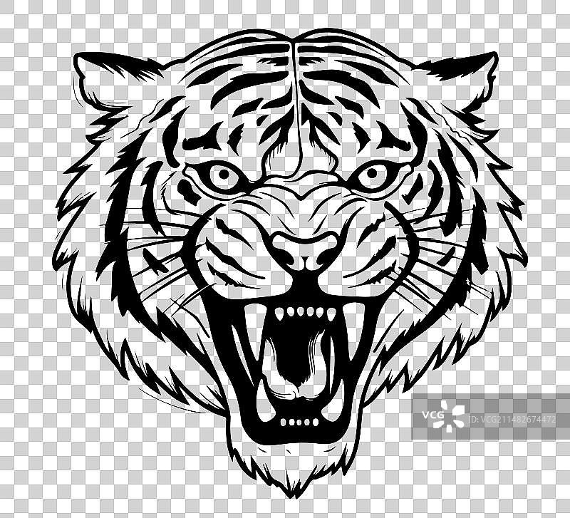 涂鸦手绘的愤怒老虎咆哮素描图片素材