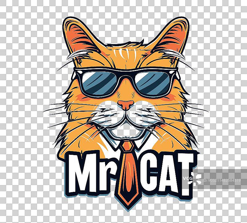 戴墨镜的酷猫图片素材
