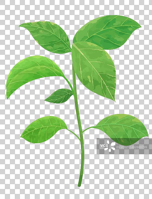 春天植树节植树树苗元素图片素材