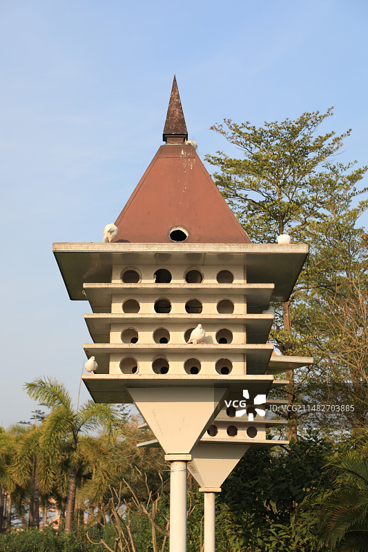 星乐度鸽子笼图片素材