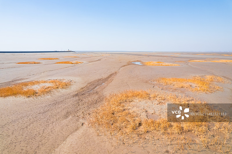 嘉兴海宁钱塘江滩涂上的草地自然风景图片素材