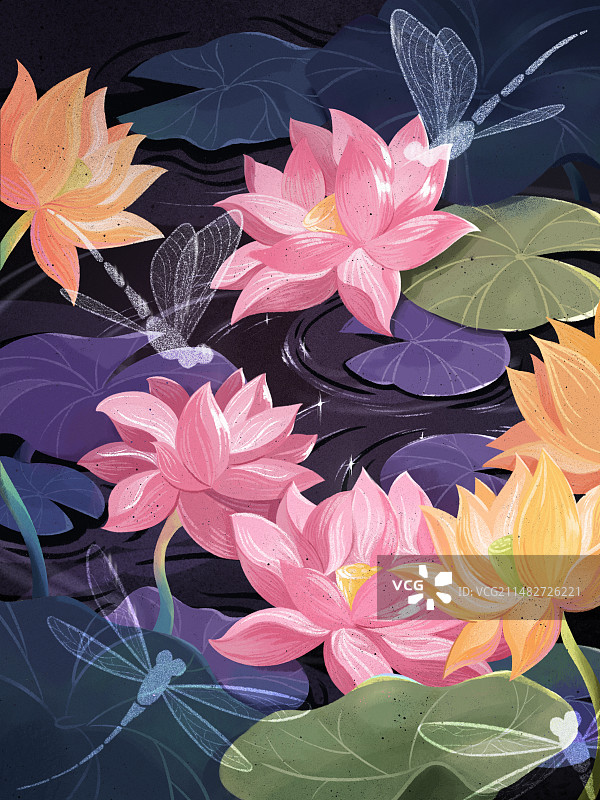 好运莲莲，莲花盛开的水面有蜻蜓飞过图片素材