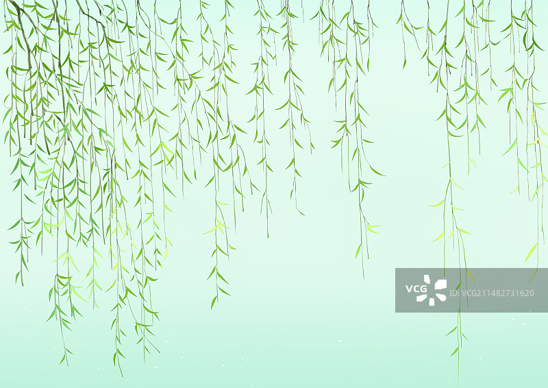 春天的垂柳图片素材