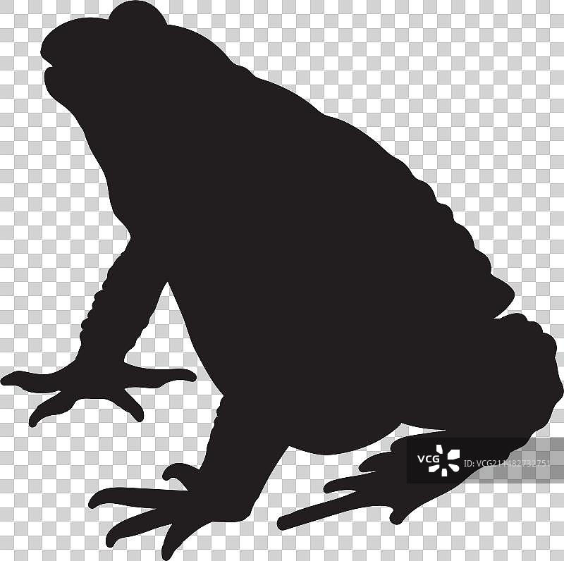 万圣节大蟾蜍剪影图片素材