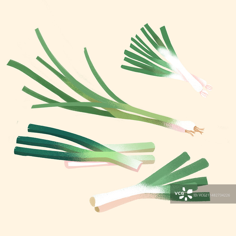 食材大葱小葱手绘插画图片素材