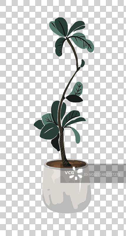 装饰绿植插画元素图片素材