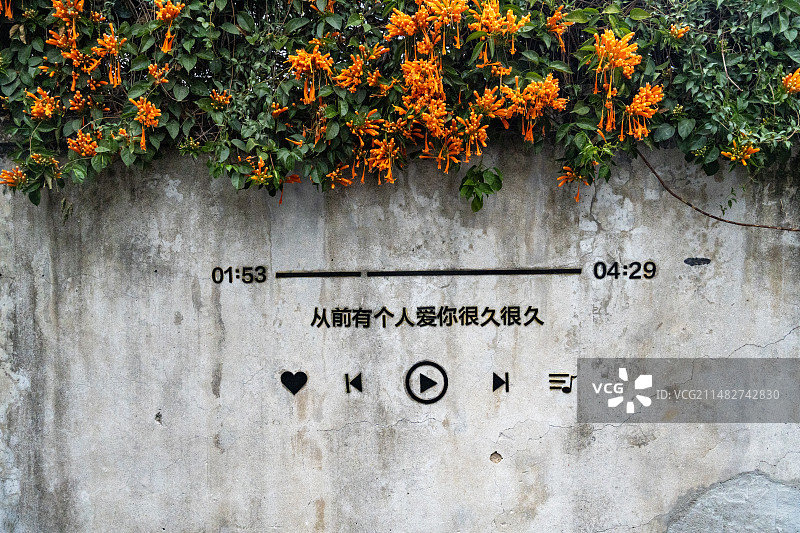 盛开花朵下的斑驳墙体图片素材