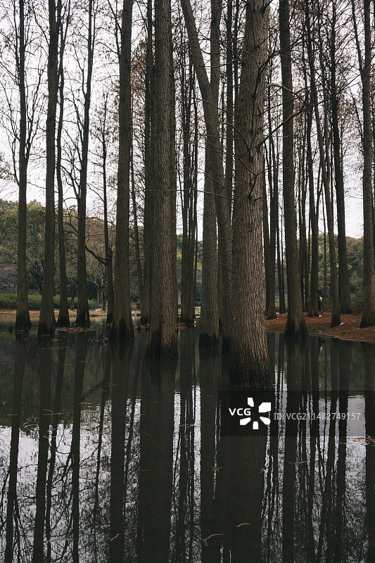 鼋头渚图片素材