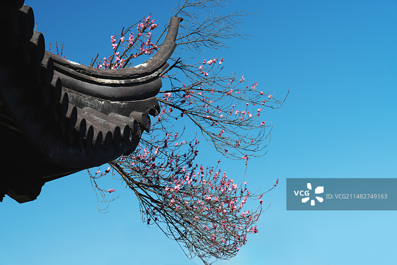 梅花与飞檐图片素材