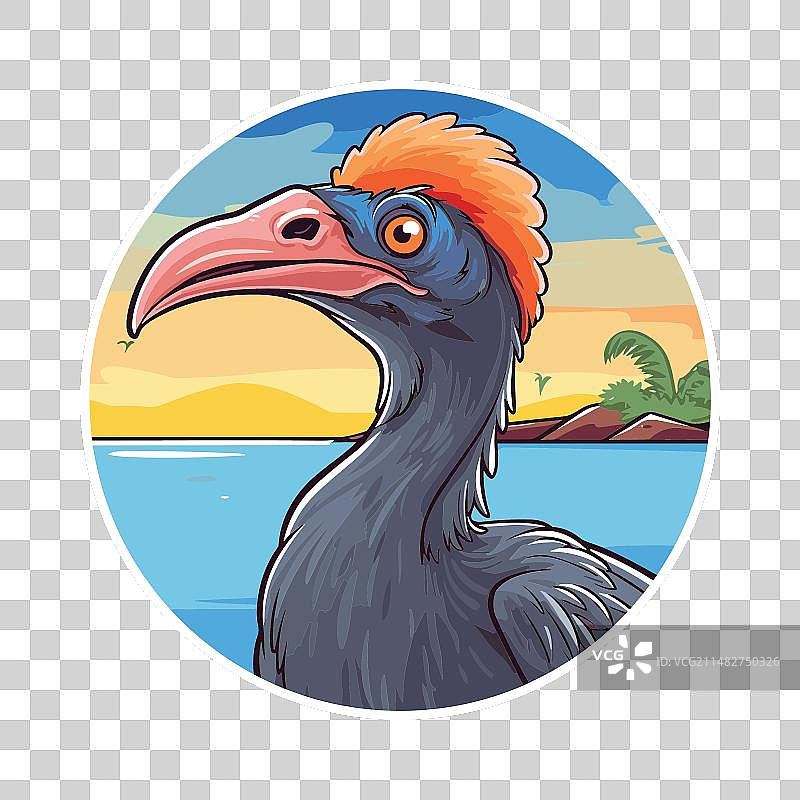 卡通风可爱风趣的食火鸟图片素材