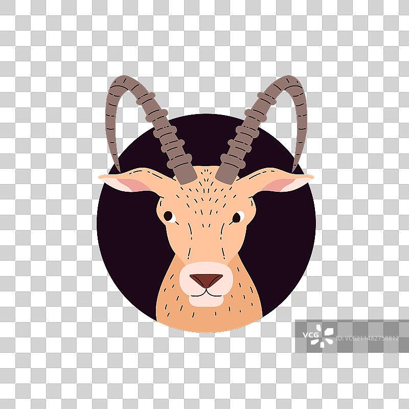 摩羯座星座运势占星符号图片素材