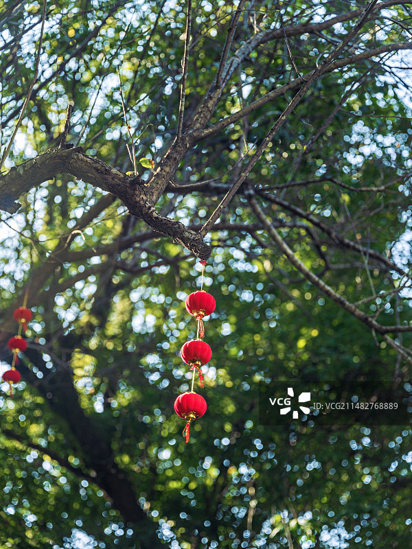 海口琼台书院白昼光影风光图片素材