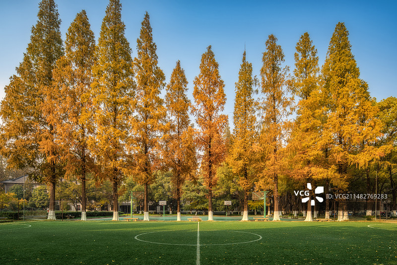 苏州大学秋景图片素材