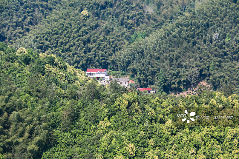 竹林人家图片素材