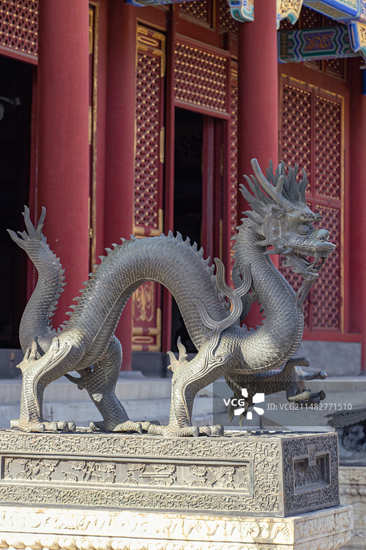 北京颐和园仁寿殿前的龙图片素材