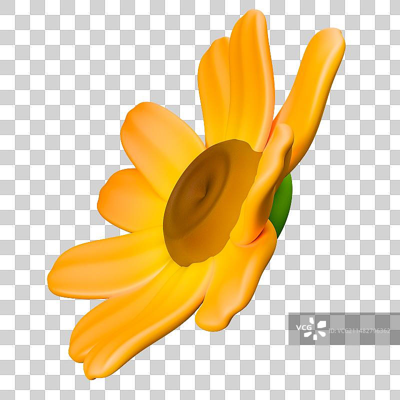 3D插画元素春天春日踏青赏景鲜花盛放图片素材