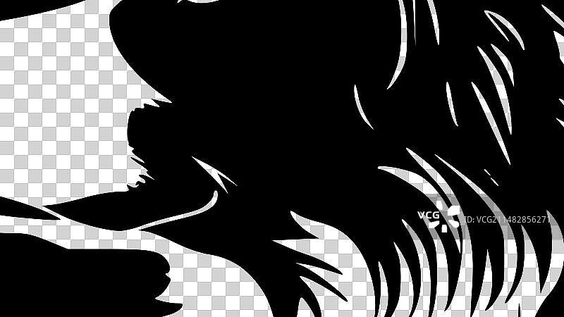 黑白色边境牧羊犬图片素材