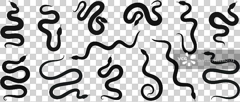 蛇剪影图片素材