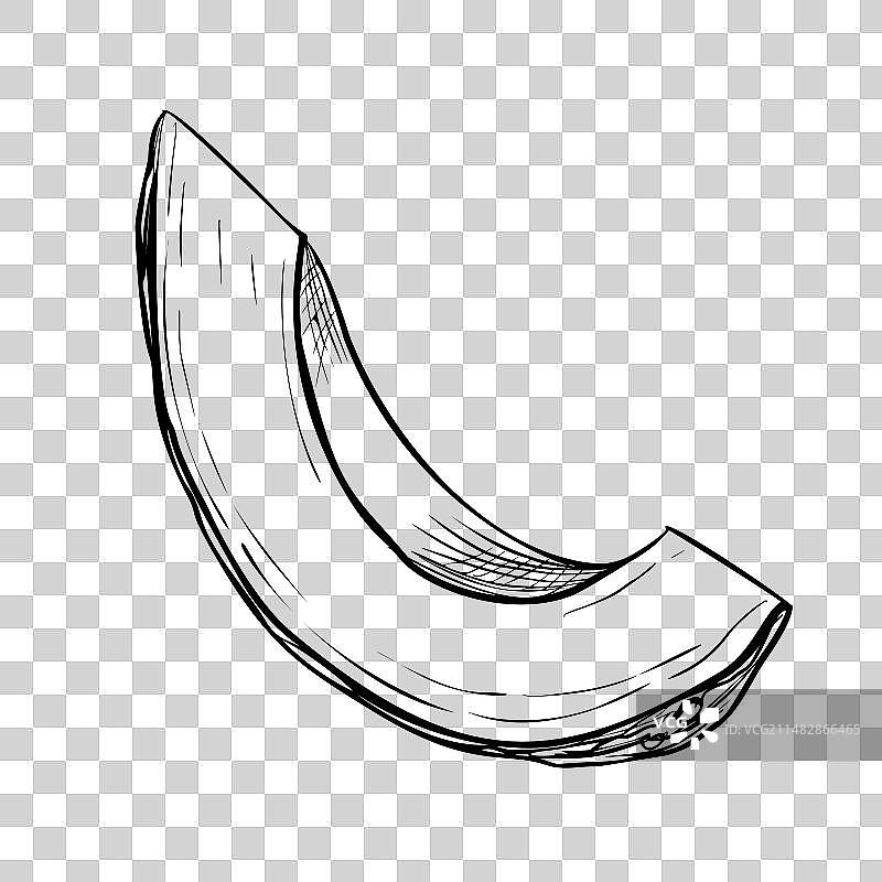 手绘牛油果切片图片素材