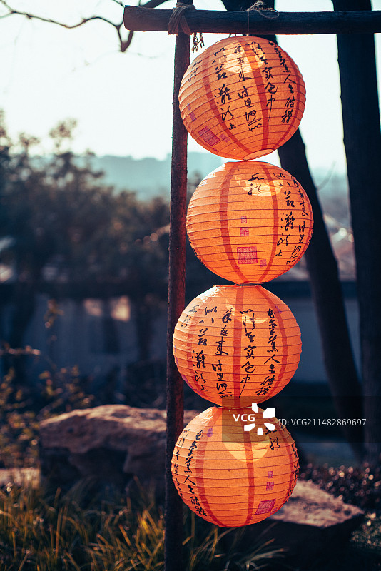 荣氏梅花腊梅花图片素材