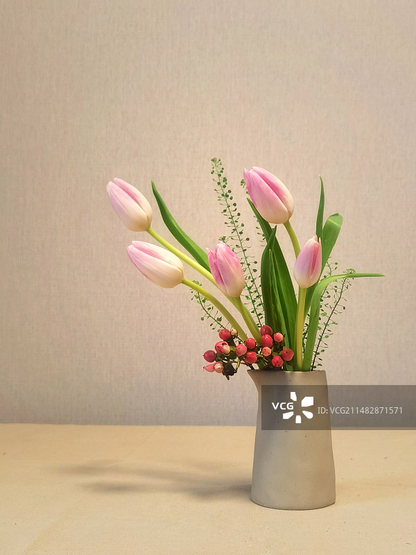 郁金香图片素材