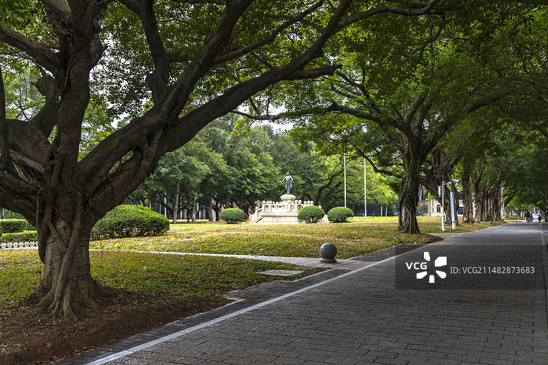 中山大学校园图片素材